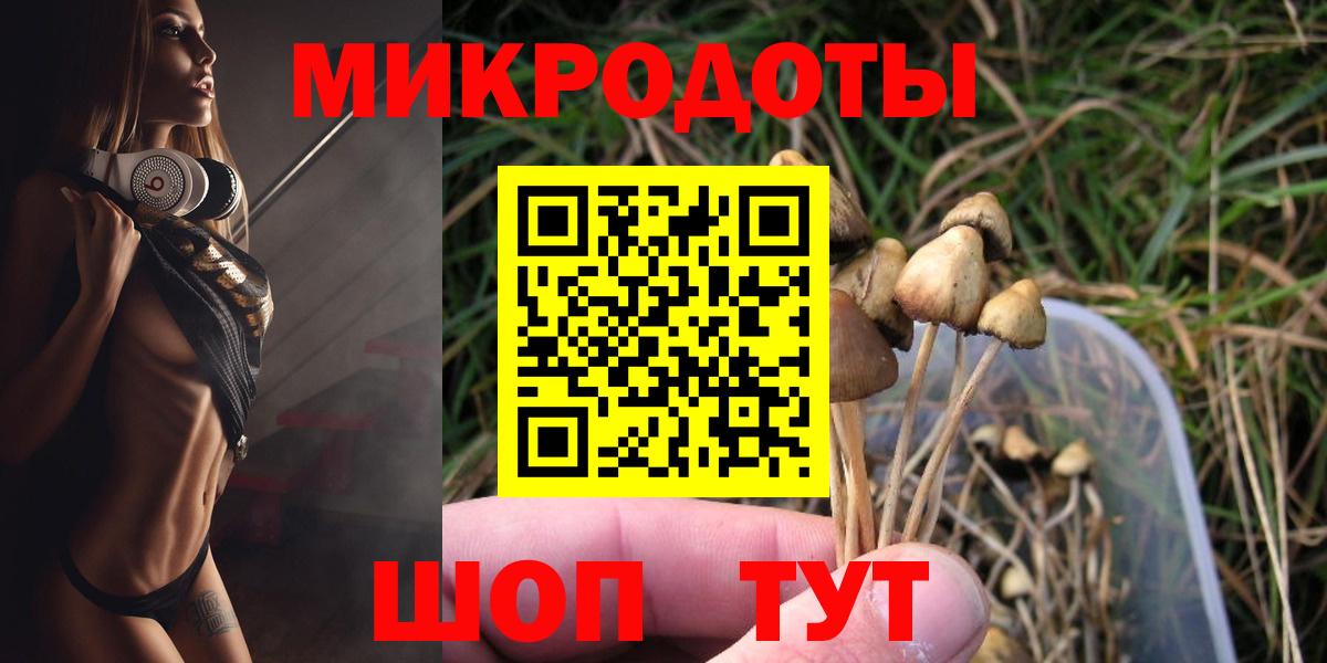Чайковский  Псилоцибиновые грибы ЛСД  Вход с VPN 